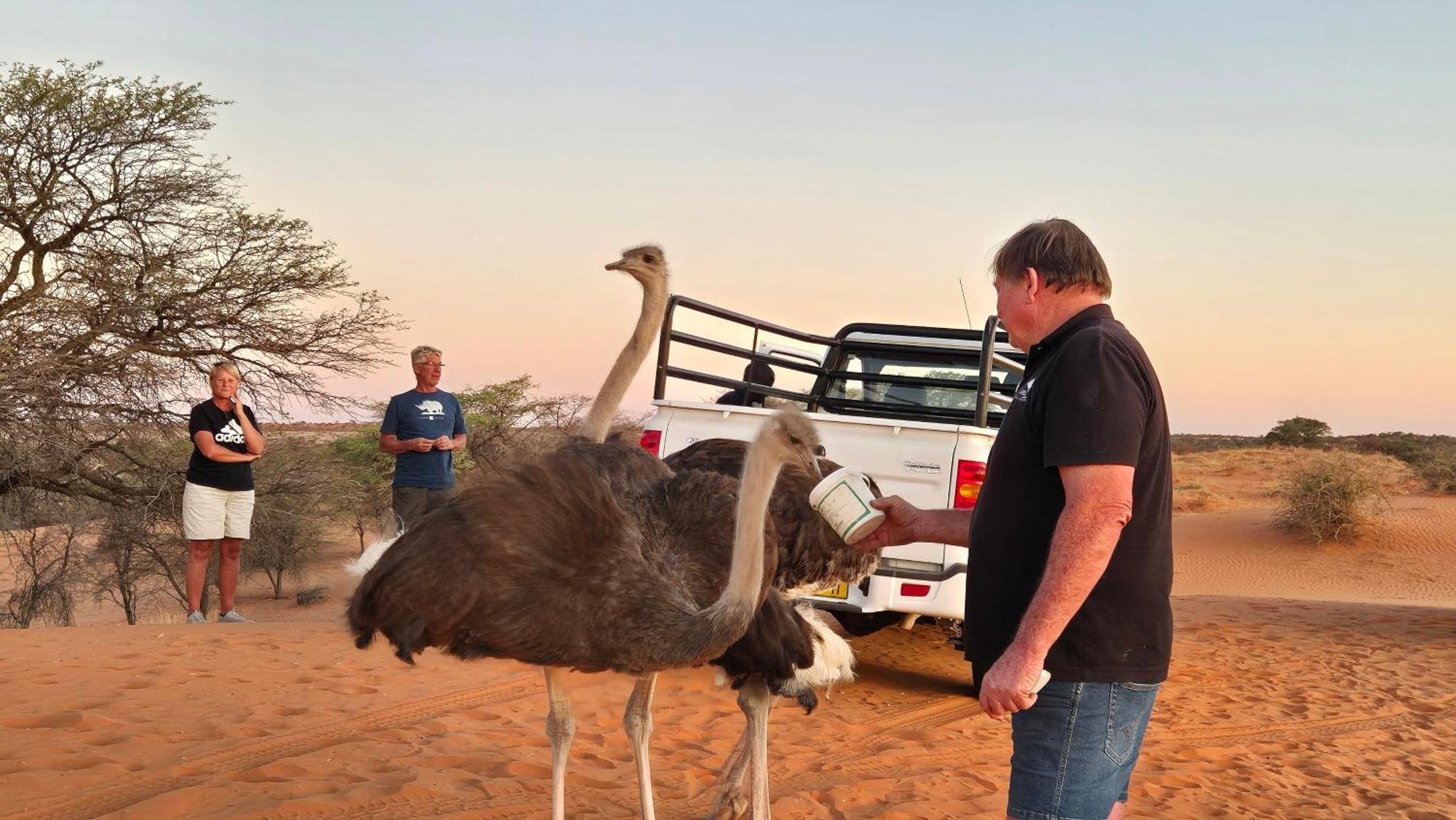 Вілла Jansen Kalahari Guest Farm Hoachanas Екстер'єр фото
