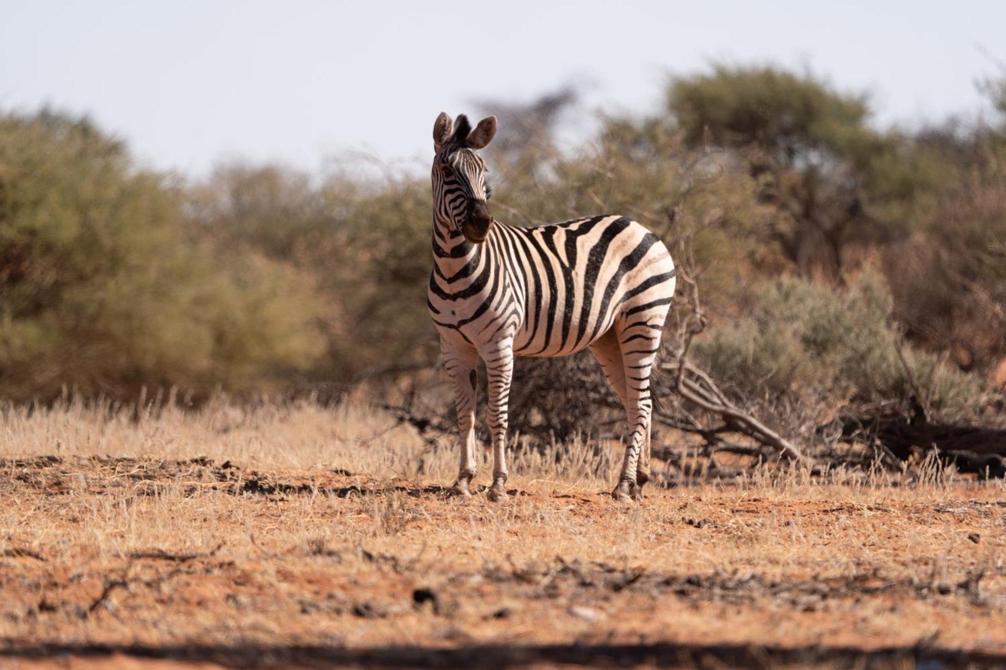 Вілла Jansen Kalahari Guest Farm Hoachanas Екстер'єр фото